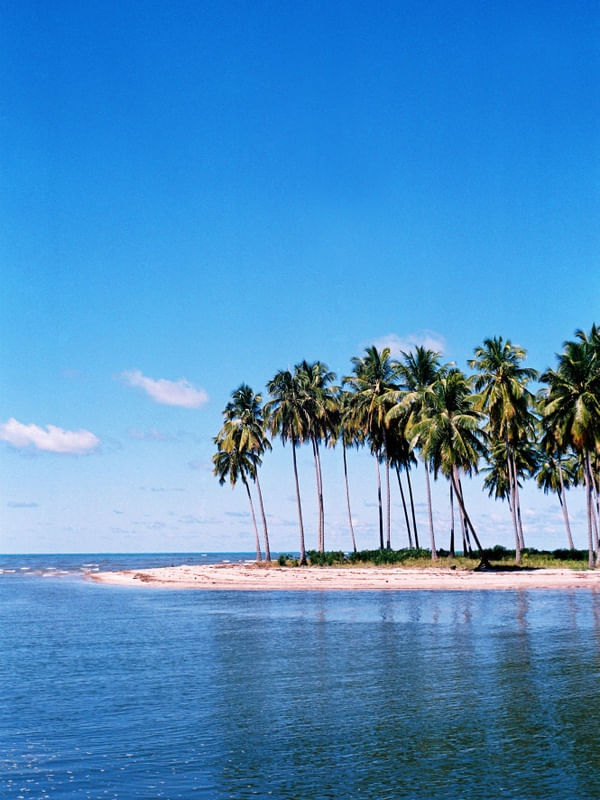 PARAÍSO TROPICAL