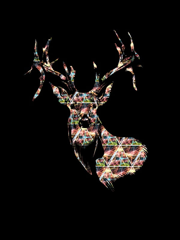 DEER COLORS