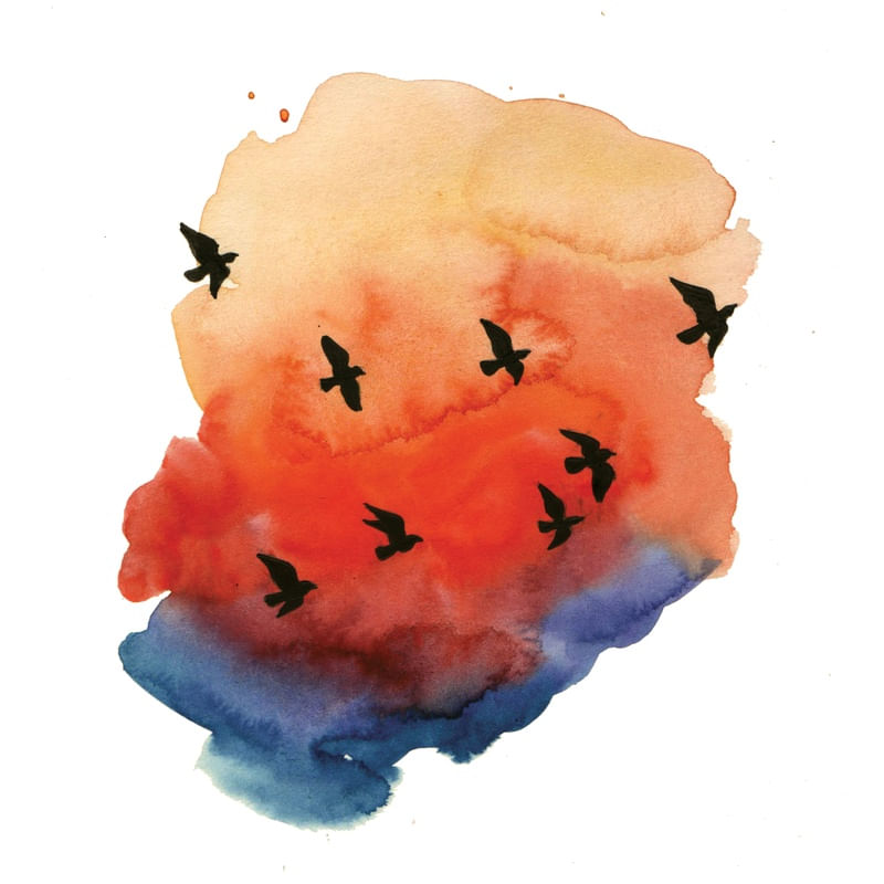 FREE BIRDS