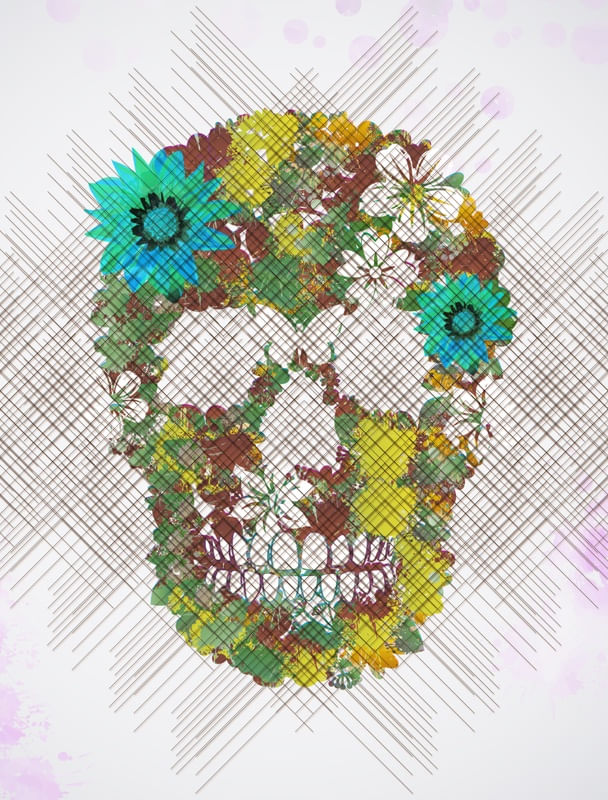 CAVEIRA TROPICAL