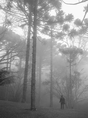 NEBLINA