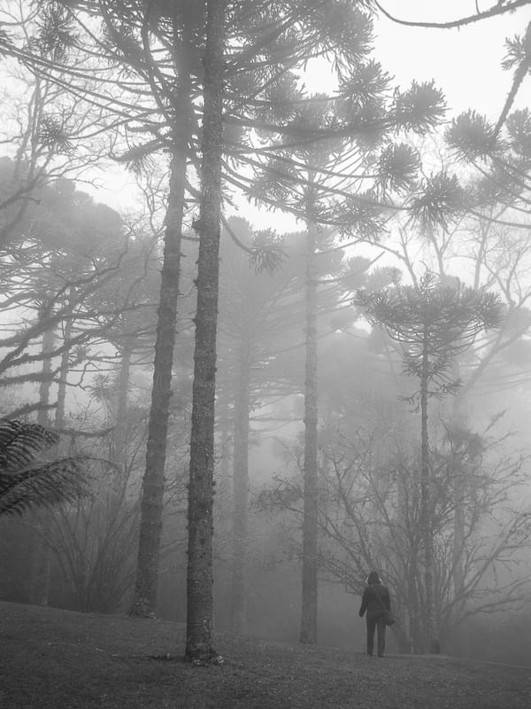 NEBLINA