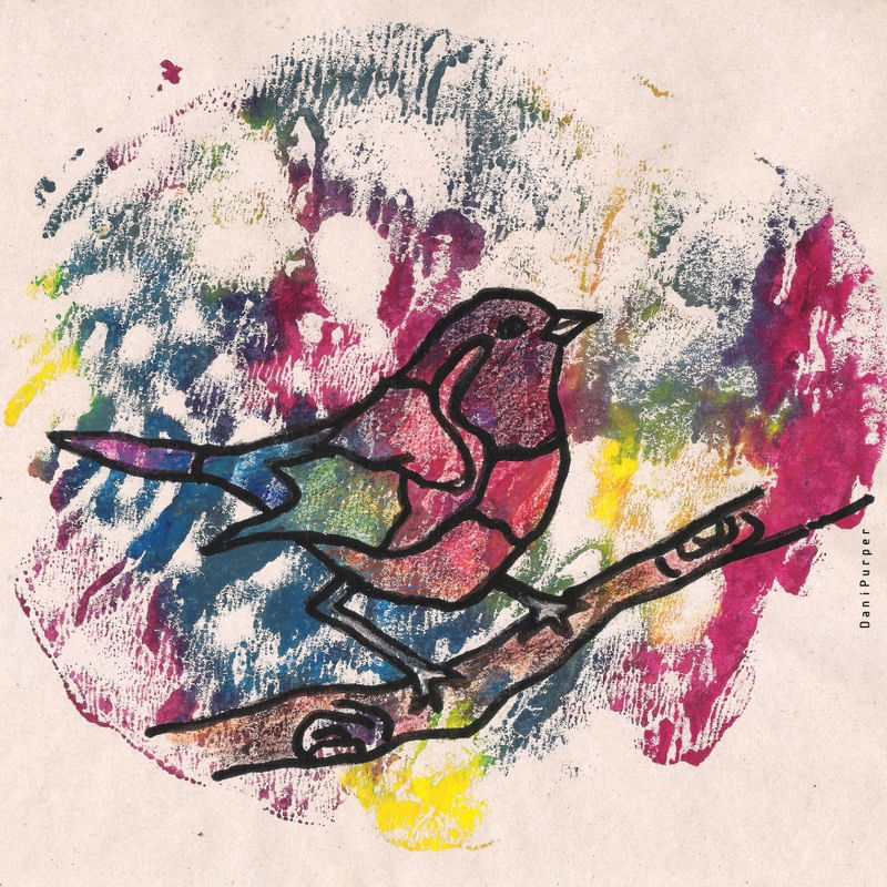 BIRD II