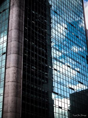 CONFUSION OF REFLECTION - AV. PAULISTA
