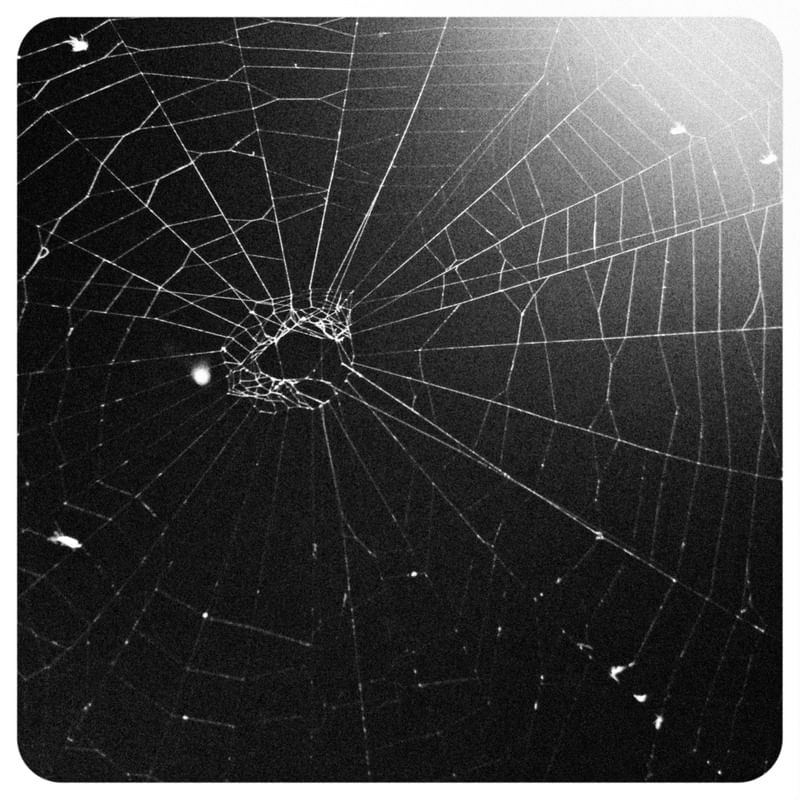 TEIA DE ARANHA 306