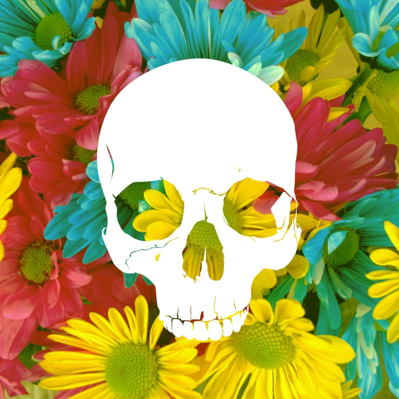 Quadro Decorativo SKULL FLOWERS SUMMER