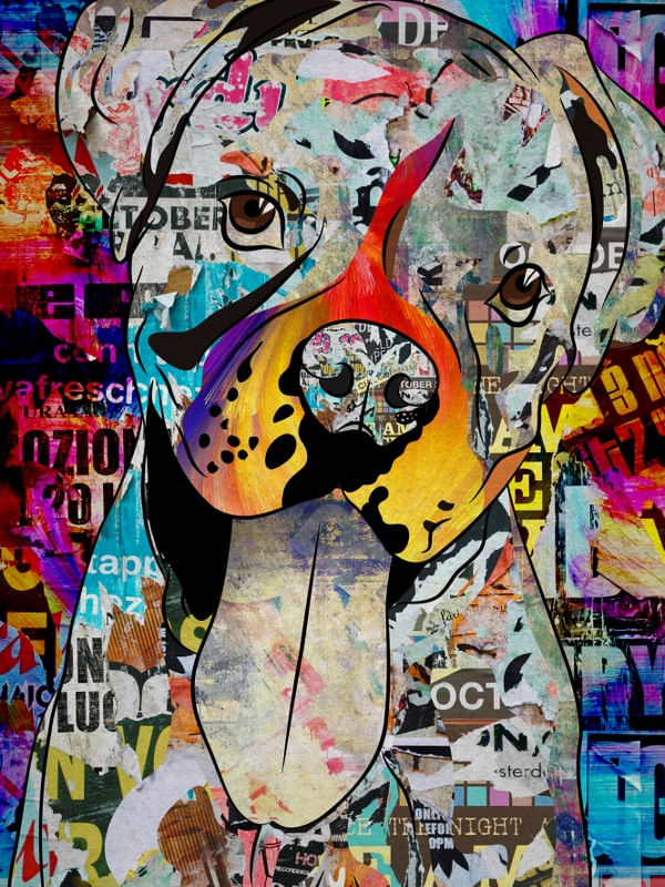 BOXER POPART