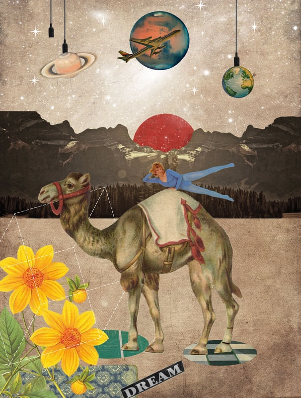 ANIMAL COLLECTION: DESERT IS A LONELY PLACE
