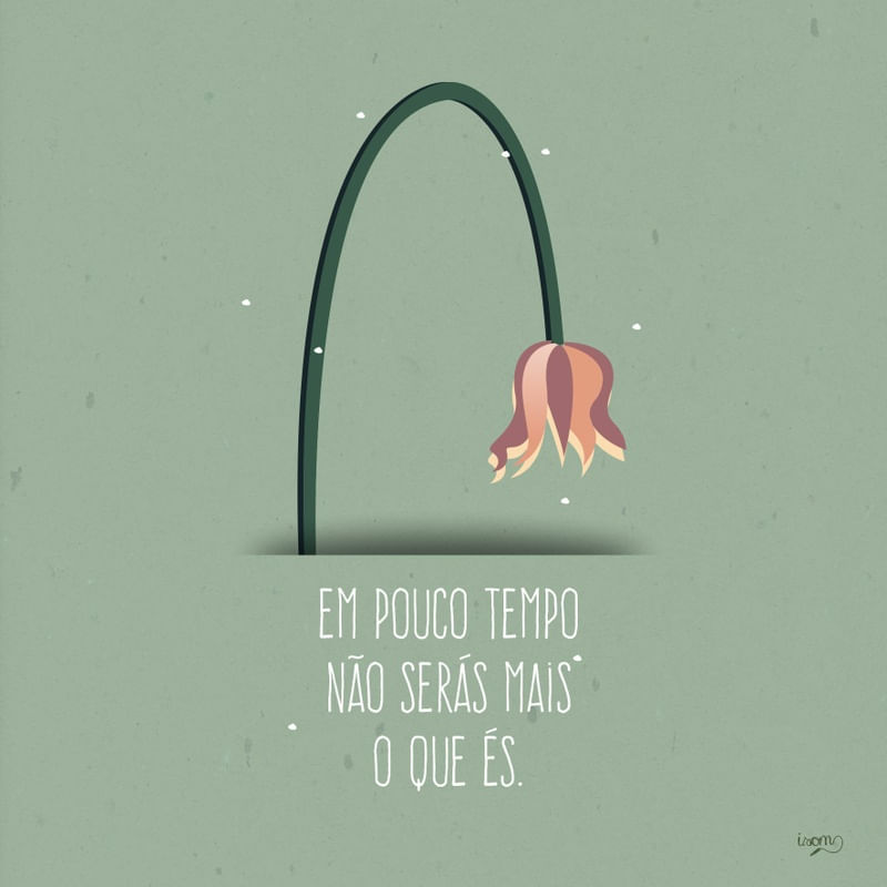 O MUNDO É UM MOINHO