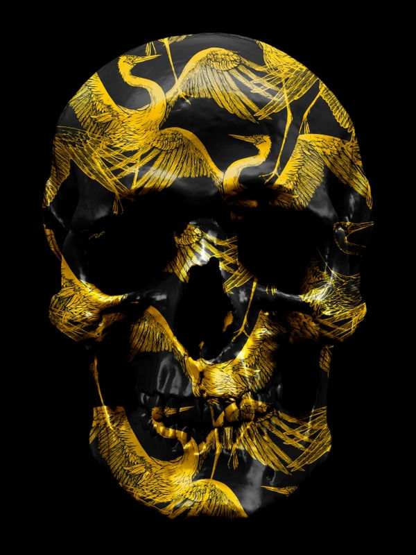 Quadro Decorativo BLACK SKULL STORK