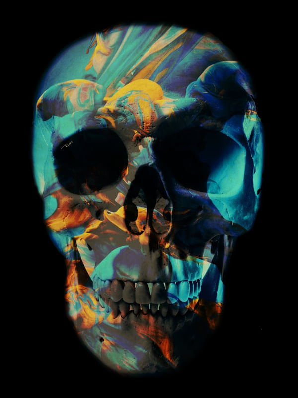 SKULL ABSTRACT BLACK