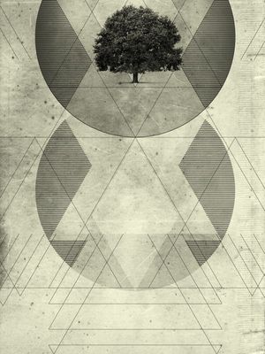 A GEOMETRIA NATURAL DAS COISAS