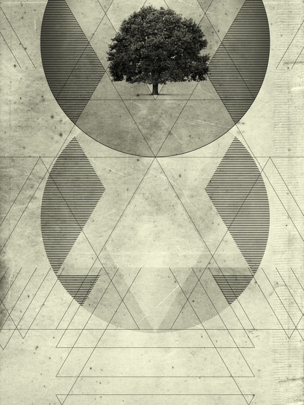 A GEOMETRIA NATURAL DAS COISAS