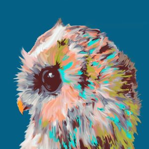 CORUJA PINTADA