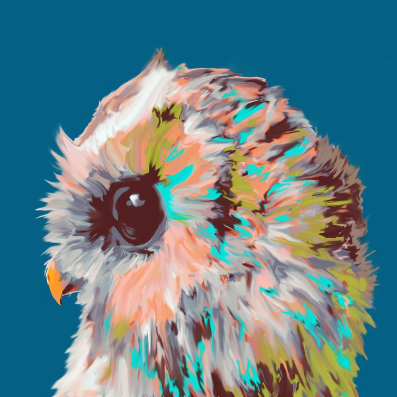 CORUJA PINTADA