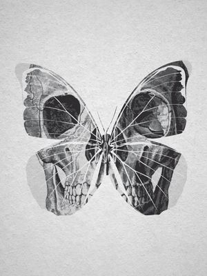 SKULL BUTTERFLY