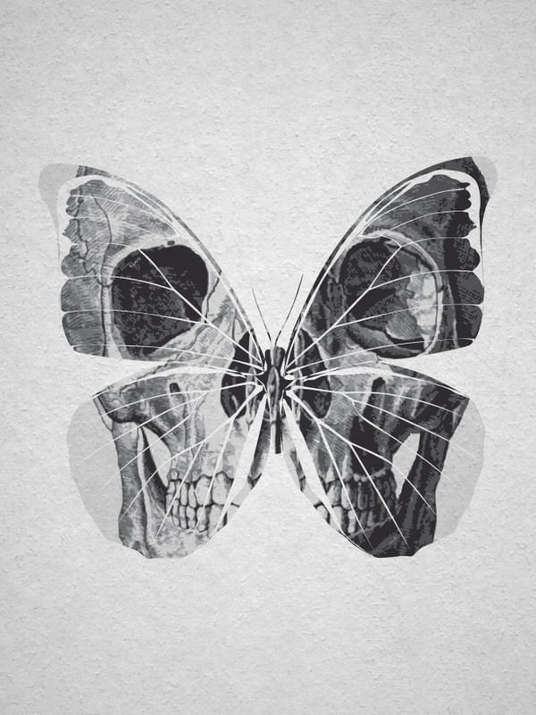 Quadro Decorativo SKULL BUTTERFLY