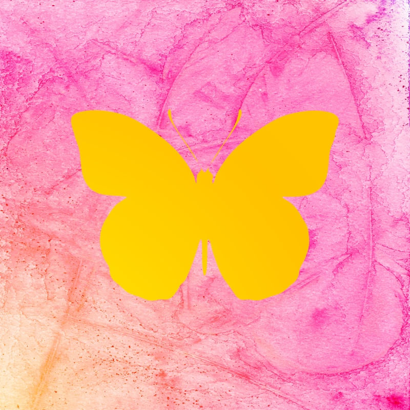 YELLOW BUTTERFLY