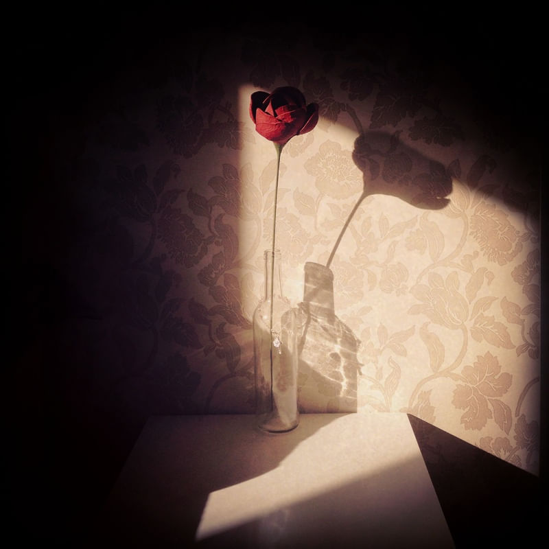 AMOR DIÁRIO