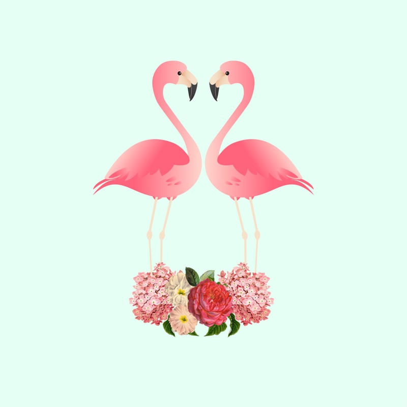 FLAMINGOS IN LOVE