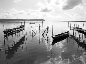 LAGOA 6