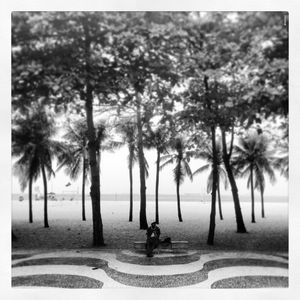 THIRTEEN COCONUTTREES AND ONE MAN