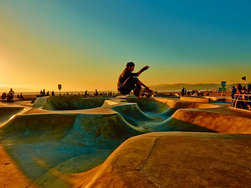 VENICE SKATE
