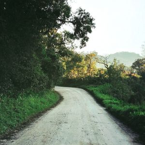 CAMINHOS VERDE