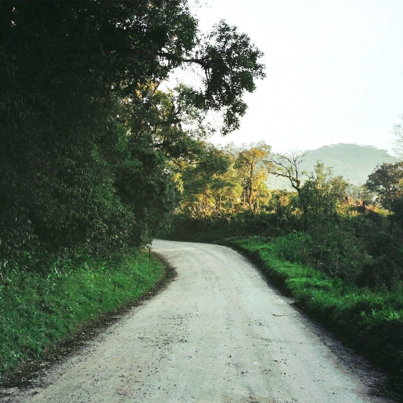 CAMINHOS VERDE