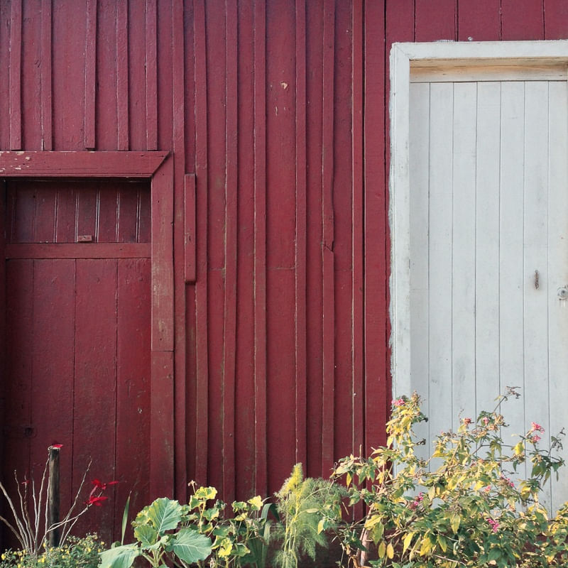 DUAS PORTAS E PLANTINHAS