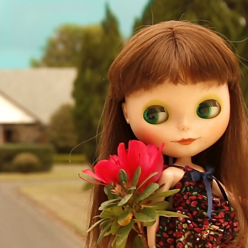 BLYTHE MEU PRIMEIRO AMOR