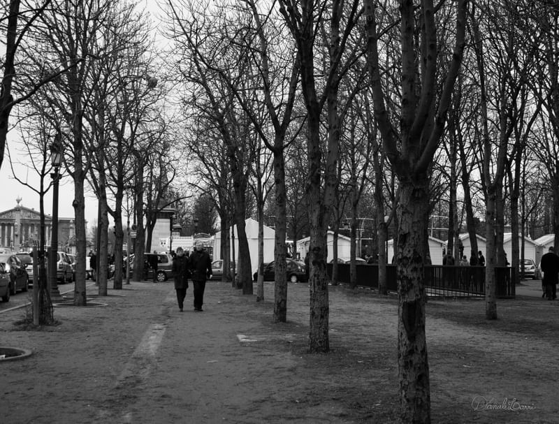PARIS - INVERNO