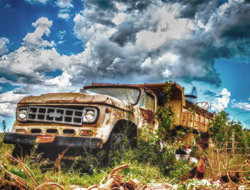 NO GALINHEIRO (HDR)