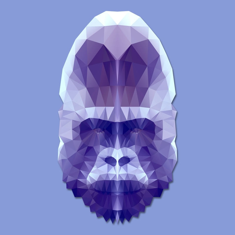 GEOMETRIC GORILLA
