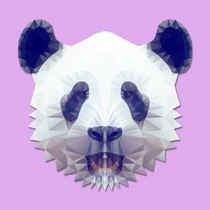 GEOMETRIC PANDA