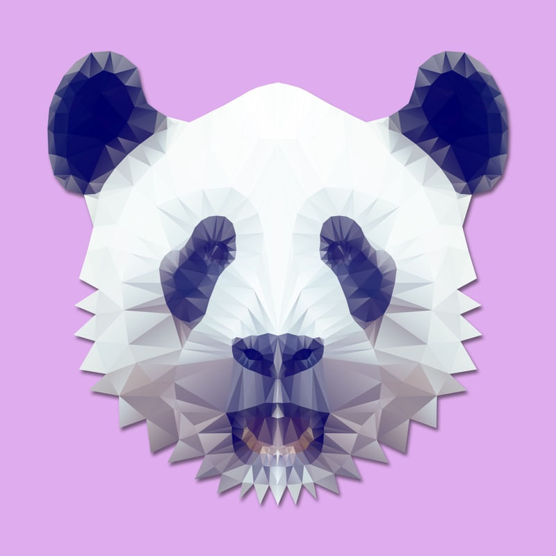 GEOMETRIC PANDA