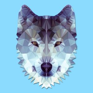 GEOMETRIC WOLF