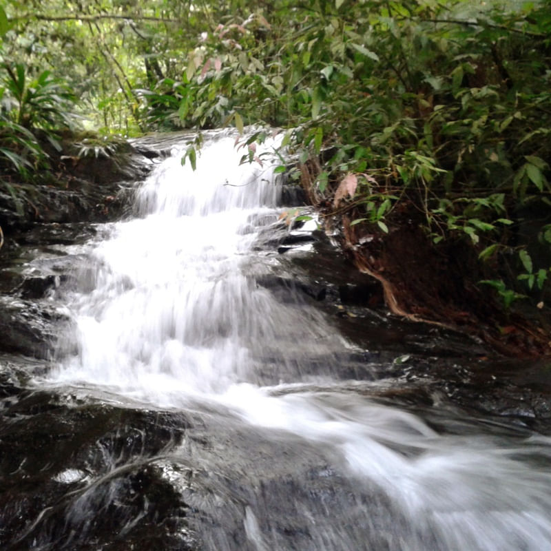 CACHOEIRA DA SERRA