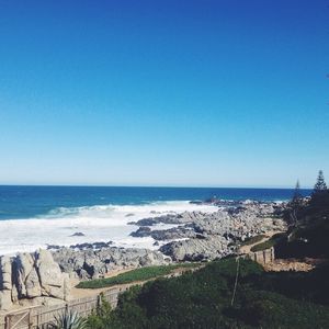 ISLA NEGRA