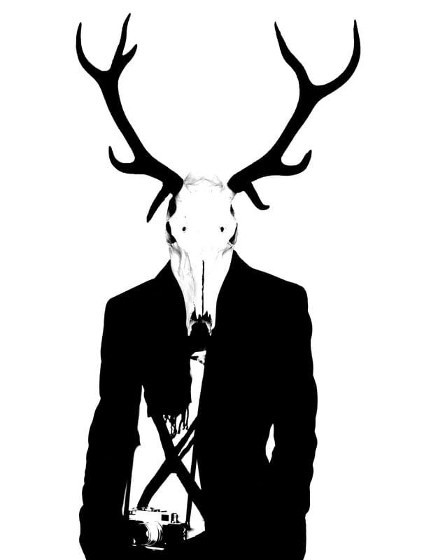 DEER SKULL PHOTOGRAPHER