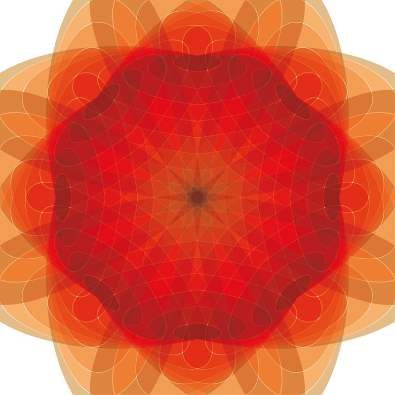 FLOR IDA