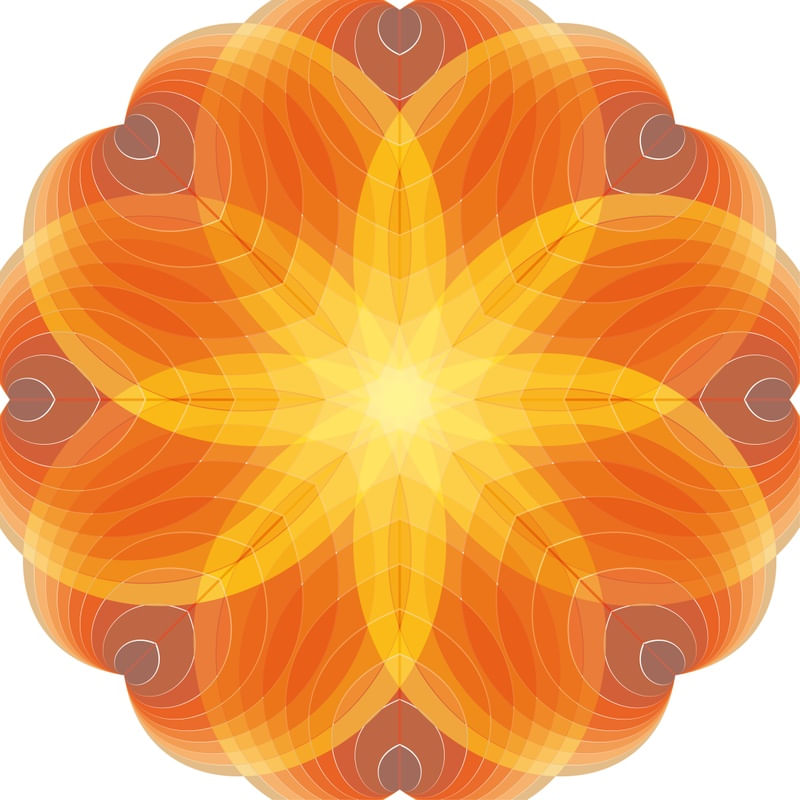 LARANJA LARANJA