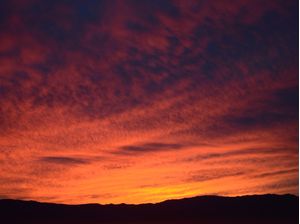 LOVE LIKE A SUNSET