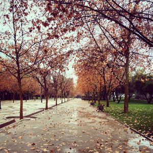 WINTER VEM AI