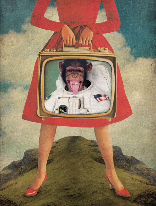 ANIMAL COLLECTION: MONKEY SEE MONKEY DO