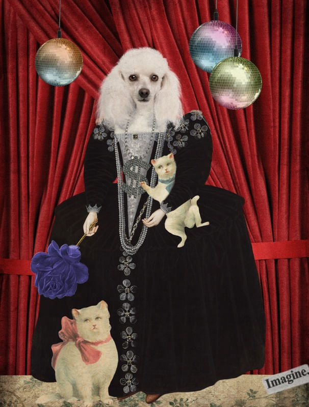 ANIMAL COLLECTION: JEZEBEL