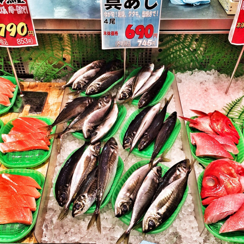 JAPÃO 16 TOPGRAMERS