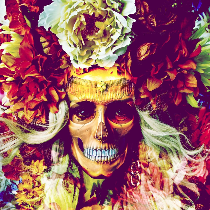 Quadro Decorativo GIRL SKULL FLOWERS
