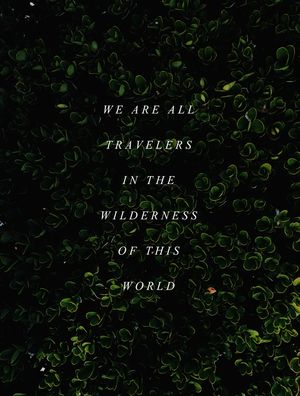 WE ARE TRAVELERS