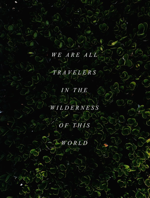 WE ARE TRAVELERS